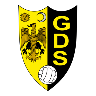 Grupo Desportivo Sourense