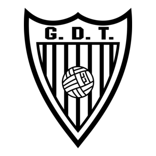 Grupo Desportivo Tourizense