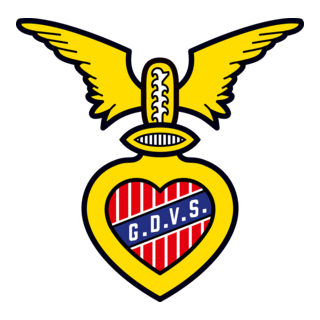 Grupo Desportivo Vitoria Sernache