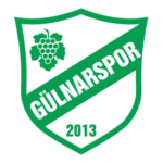 Gülnarspor Logo Transparent PNG