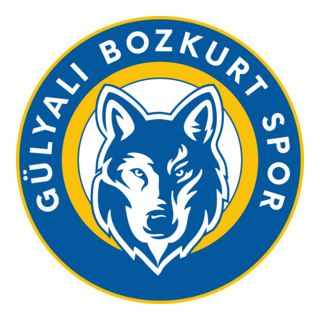 Gülyalı Bozkurt Spor