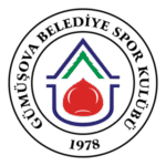 Gümüşova Belediyespor Logo Transparent PNG